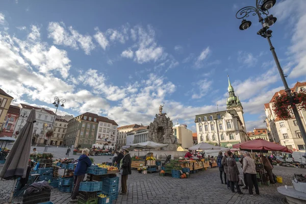 Brno Czechia Novembro 2019 Panorama Zelny Trh Praça Mercado Repolho — Fotografia de Stock