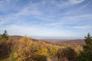 Fruska gora dağlarının manzarası, bir tepenin tepesinden, ağaçlarla kaplı tepeler, tipik sonbahardan kalma sarı yapraklar. Fruska Gora, Sırbistan 'ın Voyvodina kentinde ulusal bir orman ve odun parkı.