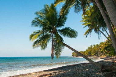 Palm beach Bali