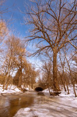 Bahar akışı güzel bir sahne ile köprü altında