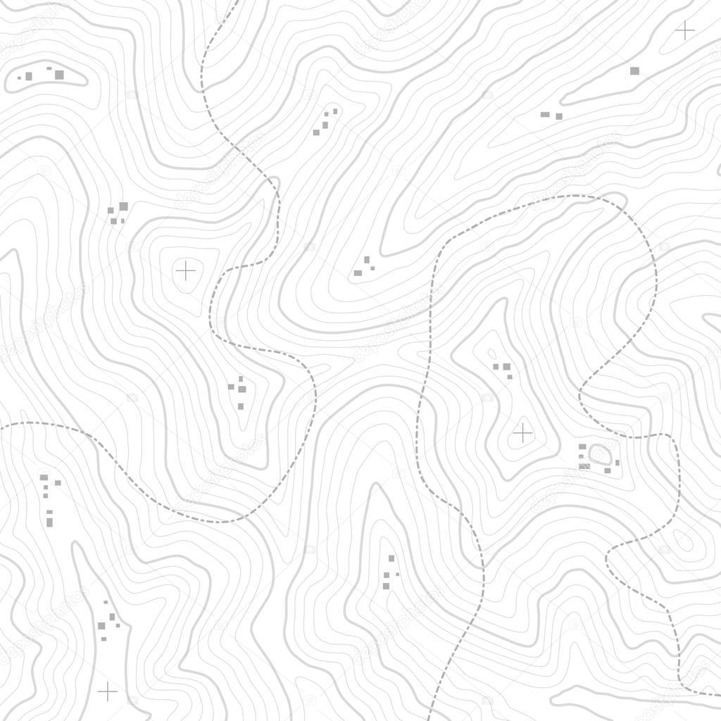 Topographic Map Texture