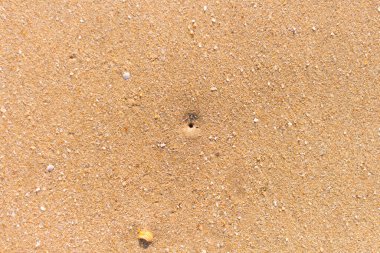Kumsalda ve delikte ayak izi yok.