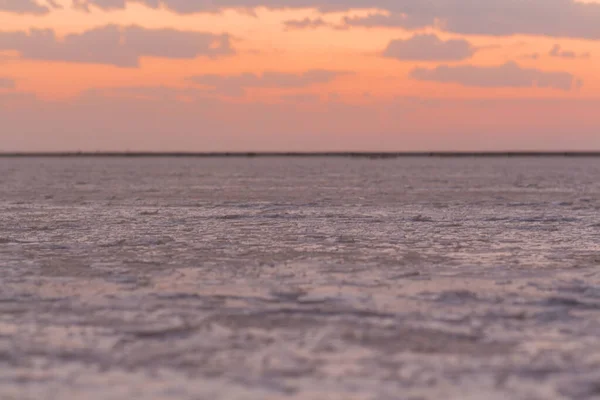 Pembe Bir Gölün Tuzlu Tuzlu Suyu Mikro Alg Dunaliella Salina — Stok fotoğraf