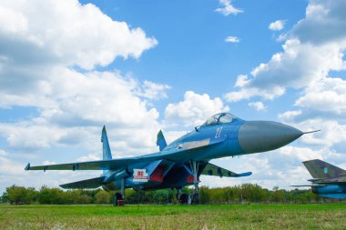 Çimlerin üzerinde askeri mavi uçak. Büyük