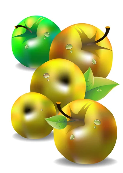 Vektor Fruchtblatt Illustration Apfel frisch — Stockfoto