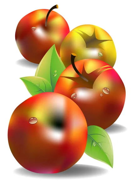 Vektor Fruchtblatt Illustration Apfel frisch — Stockfoto