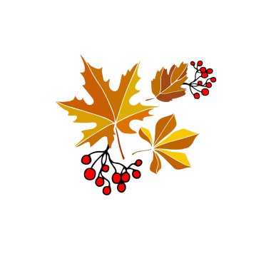 sonbahar sonbahar sezonu vektör tasarım doğa