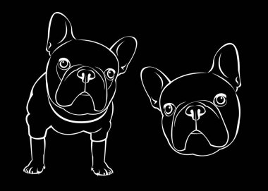 köpek, vektör, doğurmak, şirin, Evcil Hayvan, hayvan, bulldog, Fransız