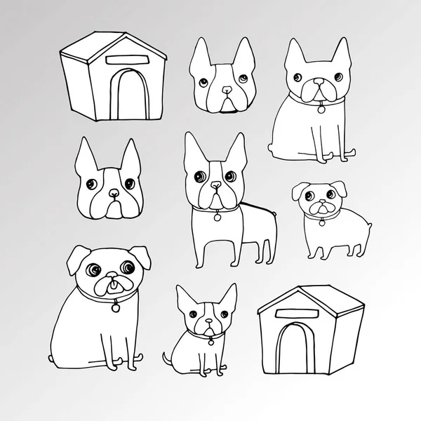 Perro pug vector raza ilustración pura raza animal dibujos animados gráfico — Archivo Imágenes Vectoriales