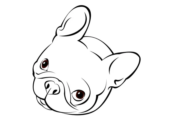 Vector, ras, hond, schattig, huisdier, dier, bulldog, Franse — Stockvector