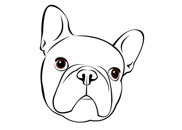 Chien, vecteur, race, mignonette, animal, animal, bulldog, français — Image vectorielle