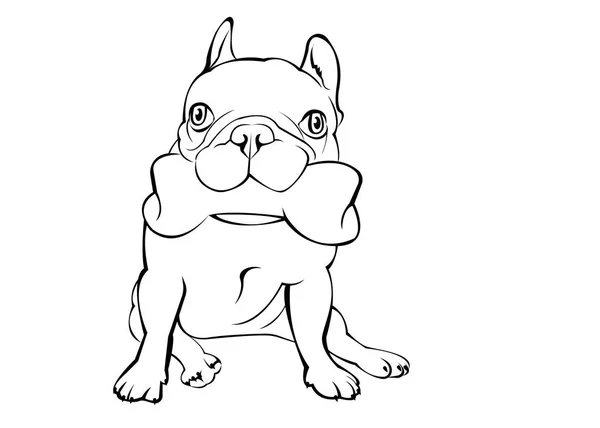 Perro, vector, raza, tierna, mascota, animal, bulldog, francesas — Archivo Imágenes Vectoriales