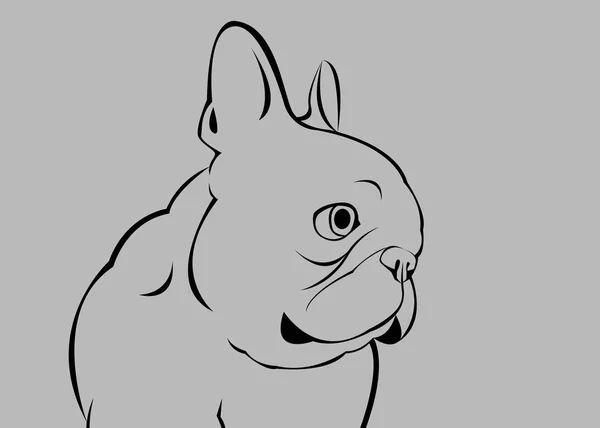 Vector, ras, hond, schattig, huisdier, dier, bulldog, Franse — Stockvector