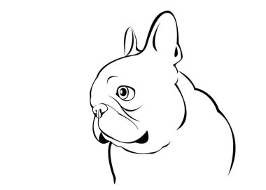 köpek, vektör, doğurmak, şirin, Evcil Hayvan, hayvan, bulldog, Fransız