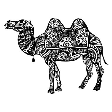 Mısır, deve, vektör, çöl, illüstrasyon, hayvan, doğa, seyahat, kum