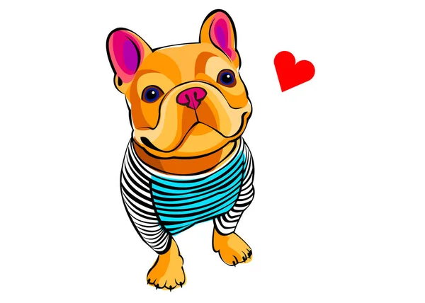 köpek, vektör, doğurmak, şirin, Evcil Hayvan, hayvan, bulldog, Fransız