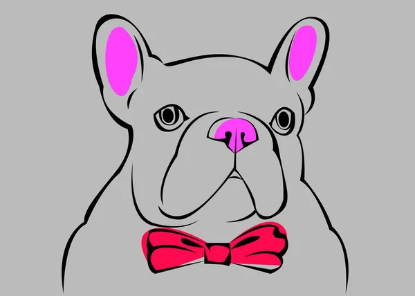 Perro, vector, raza, tierna, mascota, animal, bulldog, francesas — Vector de stock