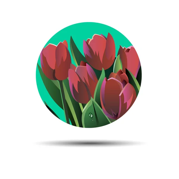Διάνυσμα floral εικονογράφηση φύση τουλίπα πράσινο άνοιξη — Διανυσματικό Αρχείο
