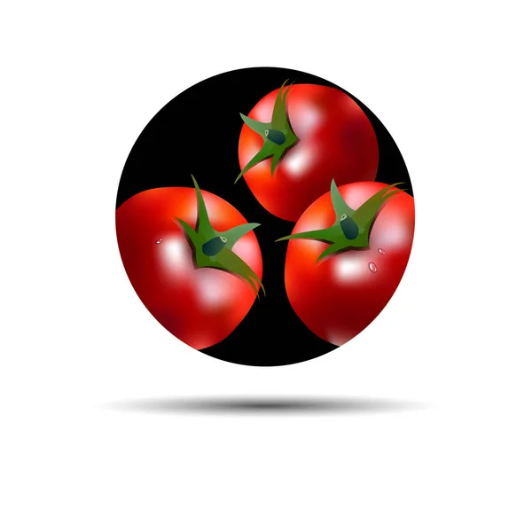 Étel vegetáriánus piros növényi vektor frissesség Paradicsomsaláta — Stock Vector