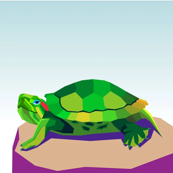 Vector animal tortuga ilustración reptil dibujos animados naturaleza — Vector de stock