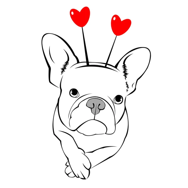 Bulldog Perancis dirantai. wajah cantik. telinga, ekor - Stok Vektor