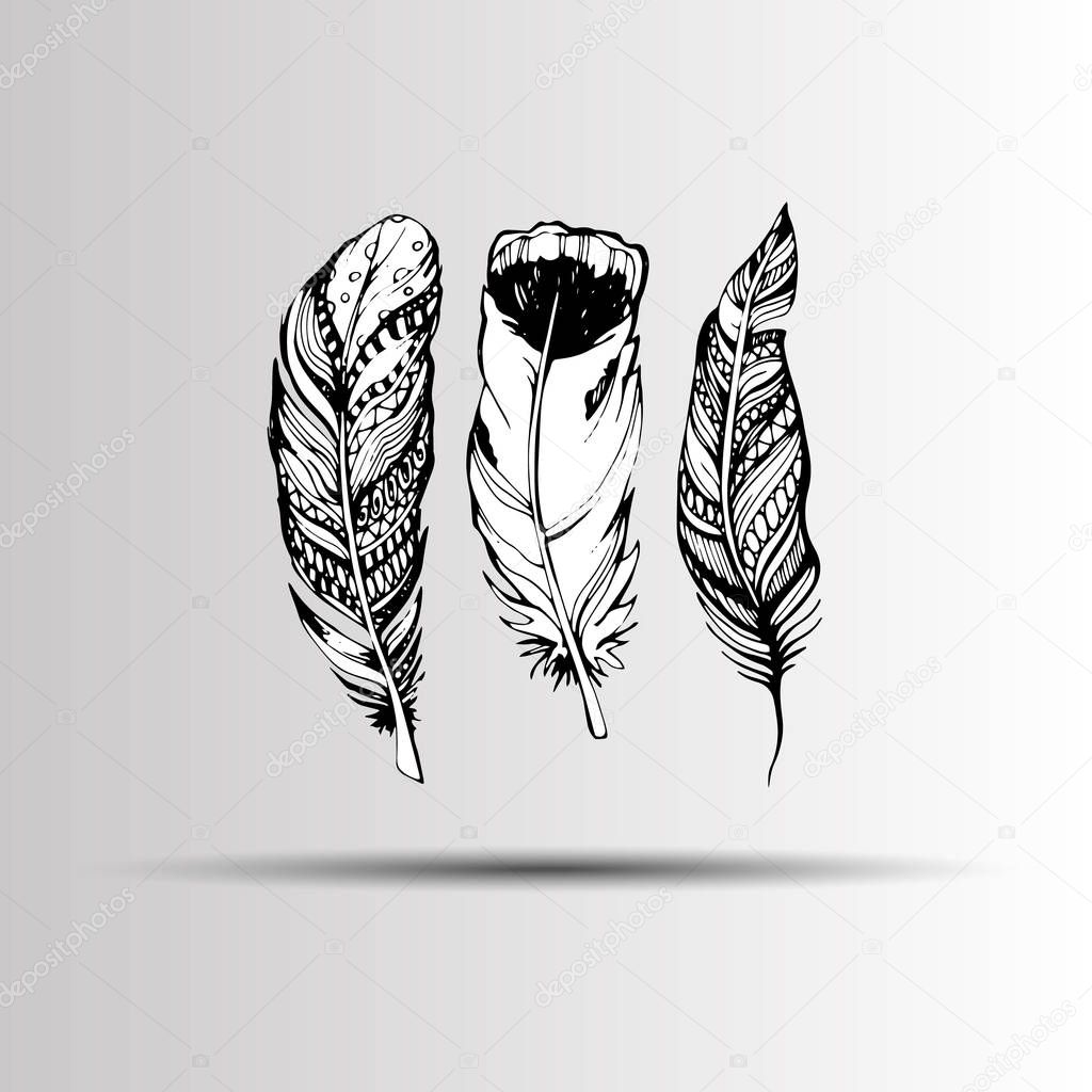 feather vector illustration art icon quill symbol