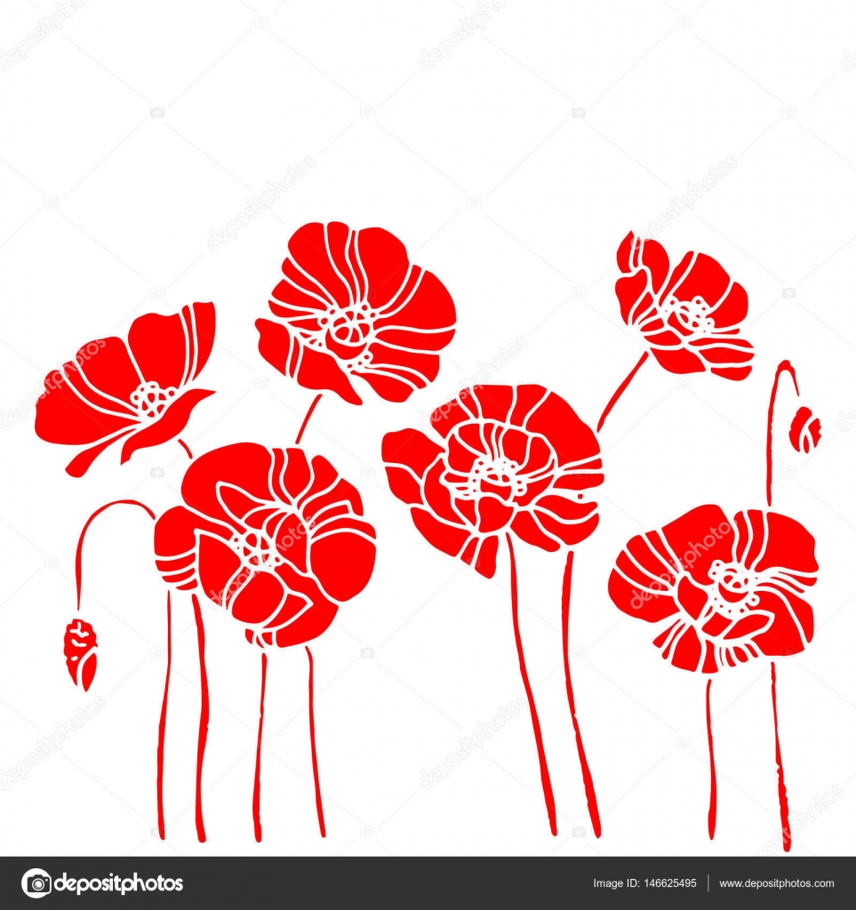 Modèle Plante Vecteur De Pavot Nature Fleur Dessin