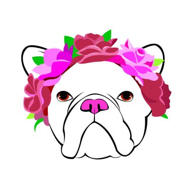 Bulldog, köpek, hayvan, Fransız, vektör, illüstrasyon, Evcil Hayvan, cins, şirin, çizim, köpek yavrusu