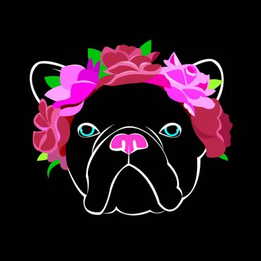 Bulldog, köpek, hayvan, Fransız, vektör, illüstrasyon, Evcil Hayvan, cins, şirin, çizim, köpek yavrusu