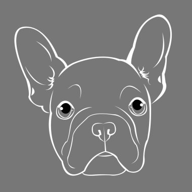 köpek vektör doğurmak şirin evde beslenen hayvan hayvan bulldog Fransız