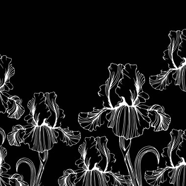 çiçek, iris, doğa, çiçek, bitki, vektör, yaz, ilkbahar, tasarım, illüstrasyon