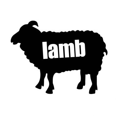 kuzu koyun hayvan illüstrasyon şirin çiftlik yün memeli beyaz doğa karikatür vektör