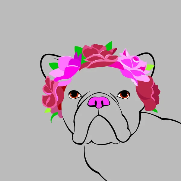 Bulldog, cane, animale, francesi, vettore, illustrazione, animale domestico, razza, carino, disegnare, cucciolo — Vettoriale Stock