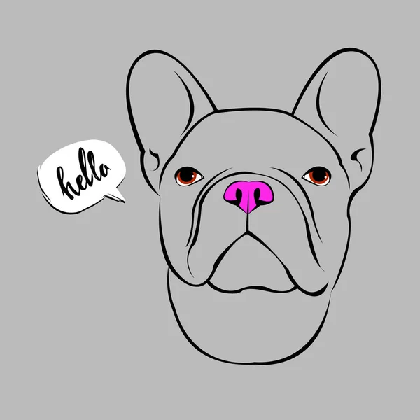 Bulldog, chien, animal, français, vecteur, illustration, animal de compagnie, race, mignonette, dessin, chiot — Image vectorielle