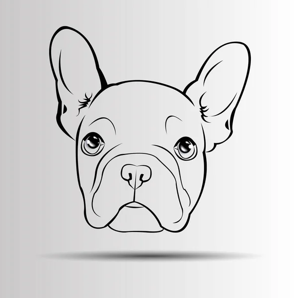 Dog vector breed cute pet animal bulldog french — Stock Vector