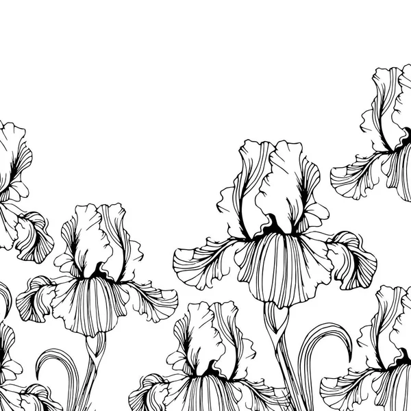 Flor, iris, naturaleza, floral, planta, vector, verano, primavera, diseño, ilustración — Vector de stock