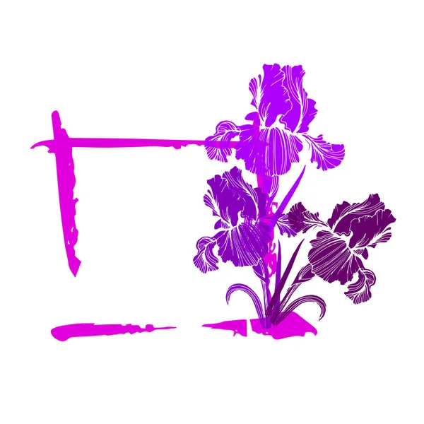 Fleur, iris, nature, floral, plante, vecteur, dessin, illustration — Image vectorielle