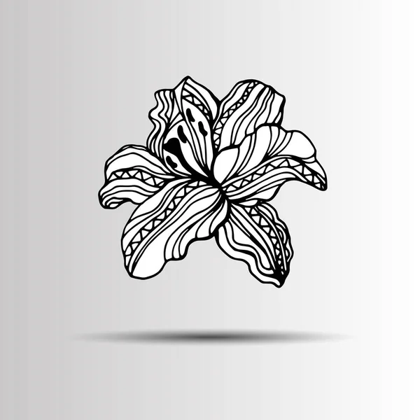 Flor arte ilustração padrão flor beleza verde — Vetor de Stock