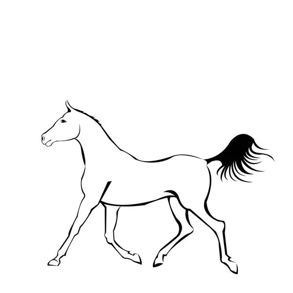 Cheval d'élevage silhouette vectorielle fine, cheval vecteur illustration animale mustang — Image vectorielle