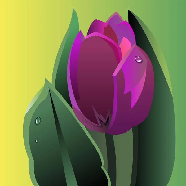 Векторна квіткова ілюстрація природа тюльпан зелений — стоковий вектор