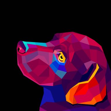 siyah arka plan üzerine bir köpek labrador vektör görüntü