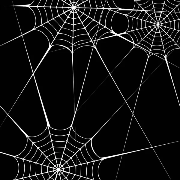 Паук вектор Хэллоуин иллюстрация черный дизайн белый элемент паутина ловушка фон — стоковый вектор