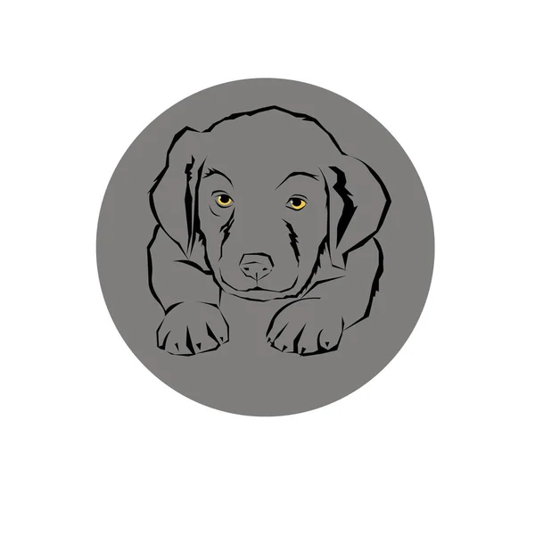 Ícone design cão vetor emblema ilustração conceito —  Vetores de Stock