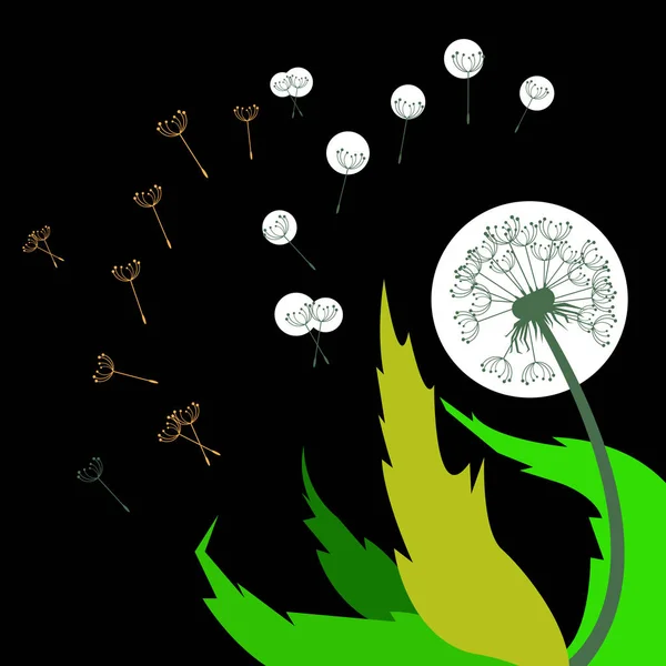 Pissenlit vecteur fond botanique fleur fleur moelleux — Image vectorielle