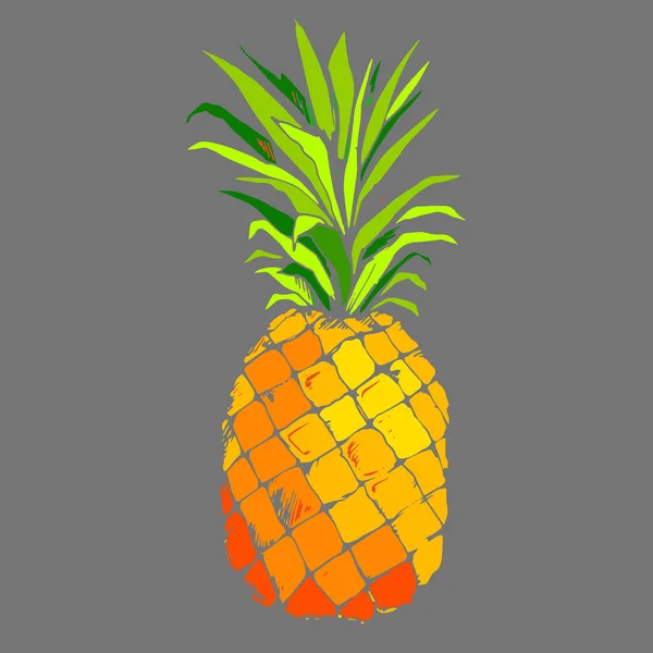 Piña, vector, fruta, comida, tropical, verano, diseño, ilustración, fondo, dulce — Vector de stock