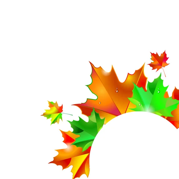 Fond d'automne avec des feuilles. Illustration vectorielle feuille d'érable — Image vectorielle