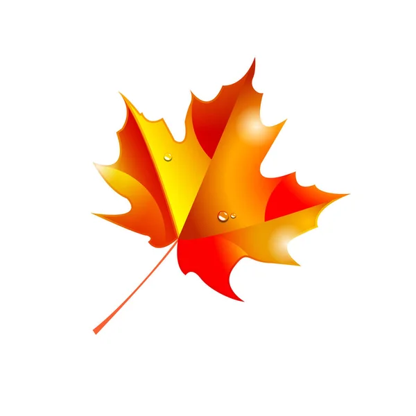 Fond d'automne avec des feuilles. Illustration vectorielle feuille d'érable — Image vectorielle