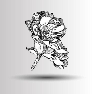 Elma ağacının bahar çiçek açan çiçeklerin vektör.