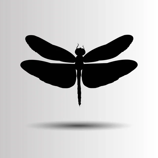 Színes szitakötő természet wildlife fly nyári illusztráció vektor — Stock Vector