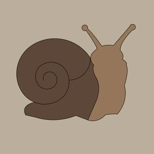 Vecteur ornement escargot rampant herbe dessin animé graphique — Image vectorielle